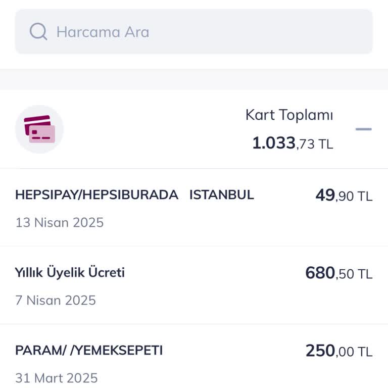 Yıllık Kart Aidatının İadesi İçin Kararlı Talep