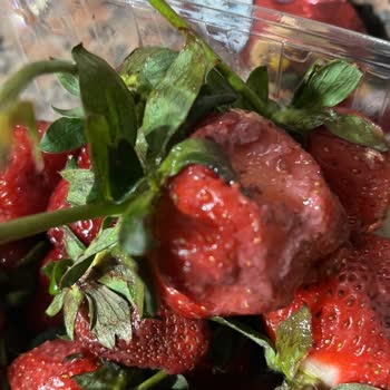 Anpa Gross Market 'ten Aldığım Çürük Çilekler