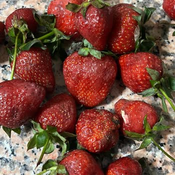 Anpa Gross Market 'ten Aldığım Çürük Çilekler