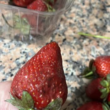 Anpa Gross Market 'ten Aldığım Çürük Çilekler