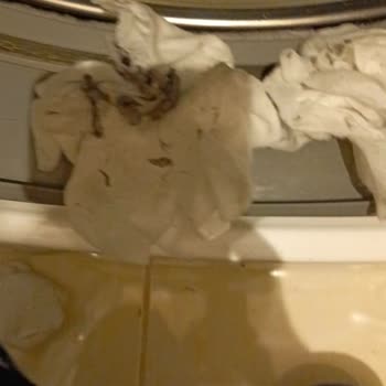 Vestel Kurutmalı Çamaşır Makinesi Toz Sorunu ve Yetersiz Servis