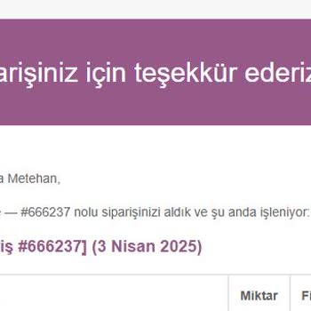 Satın Aldığım Bilgisayarın Sürekli Mavi Ekran Hatası Vermesi Ve Yetersiz Teknik Servis Desteği
