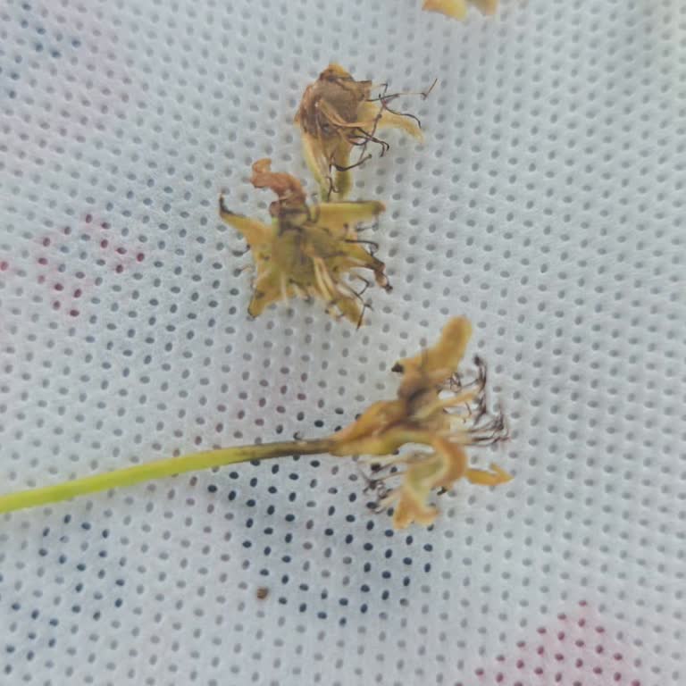 Eksperin Yanlı Tutumu Ve Bilgi Eksikliği Mağduriyeti