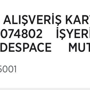 İzinsiz Çekim: Google Codespace Hakkında Acil Destek Talebi