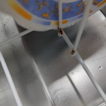 Arçelik Bulaşık Makinesi Sepetlerinde Paslanma Ve Kullanım Sorunları