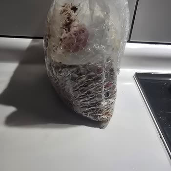 Amazon'da Hasarlı Ürün Kabusu: Müşteri Hizmetleri Çilesi