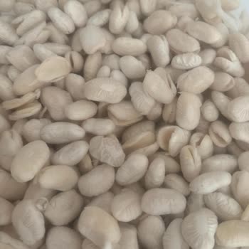 Kuru Fasulyeler Pişmeden Dağıldı, İade Reddedildi