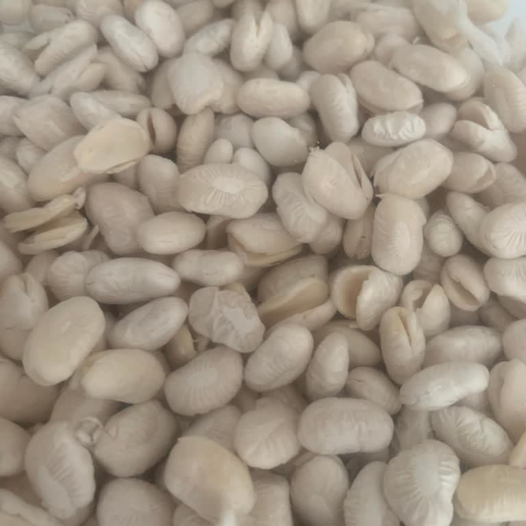 Kuru Fasulyeler Pişmeden Dağıldı, İade Reddedildi