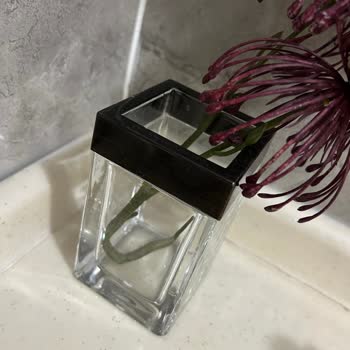 Chakra Banyo Seti: Kronik Aşınma Sorunu