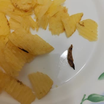 Ruffles Cips Paketinden Çıkan Böcek Şoku