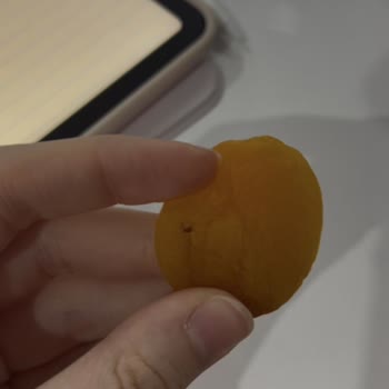 Simbat Kuru Kayısıdan Tehlikeli Cisim Çıktı!