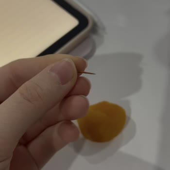 Simbat Kuru Kayısıdan Tehlikeli Cisim Çıktı!