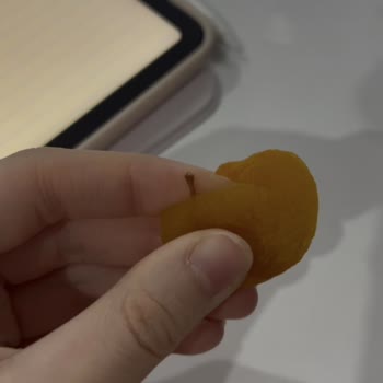 Simbat Kuru Kayısıdan Tehlikeli Cisim Çıktı!