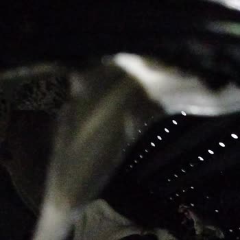 Grundig Çamaşır Makinesi İle Felaket Deneyimi