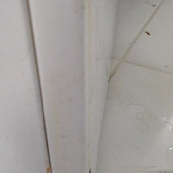 Grundig Çamaşır Makinesi İle Felaket Deneyimi