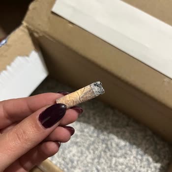 Kedi Kumu Ve Mama Ürünlerinde Güven Sorunu