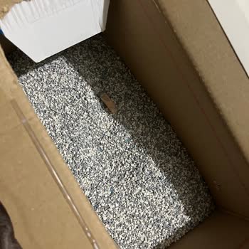 Kedi Kumu Ve Mama Ürünlerinde Güven Sorunu