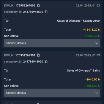 Kazançlarımın Hesaptan Silinmesi Ve Çekim Sorunu