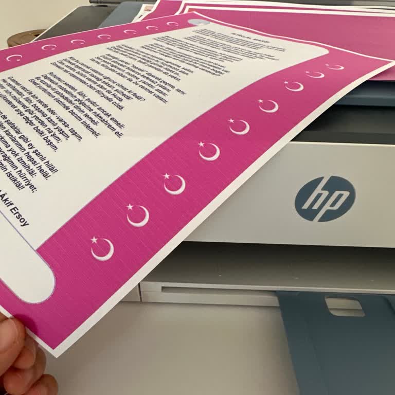 HP Yazıcı Renk Sorunu Ve Müşteri Hizmetleri Erişimsizliği