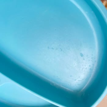 Yapışkan Tabağın Geçmeyen Sorunu