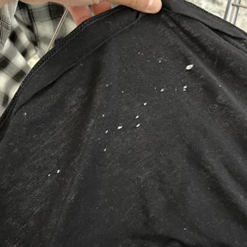 Bosch Çamaşır Makinesi Ve Servis Sorunları