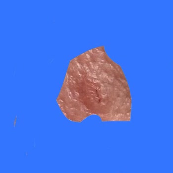 Cilt Sağlığını Bozan Ürünler: Zahri Nemlendirici Ve Yüz Temizleyici