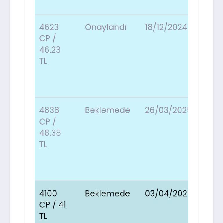 Mavi Anket Uygulaması Ödeme Sorunu