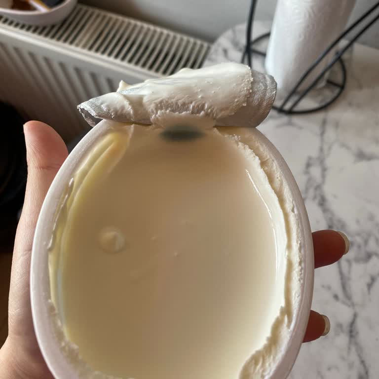 Taze Peynirde Küflenme Sorunu