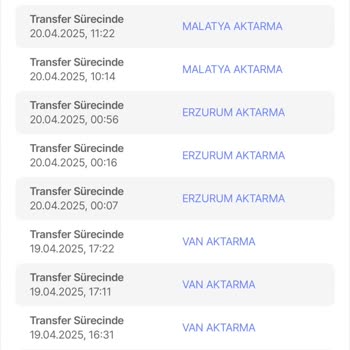 Kargo Karmaşası: Siparişim Türkiye Turu Yapıyor!