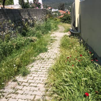 Ovakışlacık Mahallesi'nde İhmalkarlık Ve Sağlık Tehlikesi