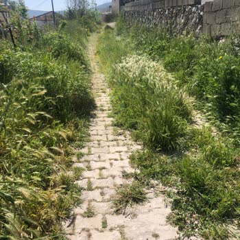 Ovakışlacık Mahallesi'nde İhmalkarlık Ve Sağlık Tehlikesi