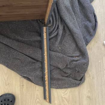 Taşınma Kabusu: Eşyalarım Zarar Gördü