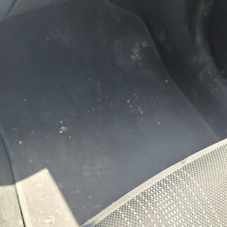 Carwax Marmara Park Şubesinden Şikayetçiyim