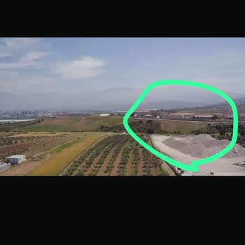 Çevre Ve Şehircilik Bakanlığı Zeytinlik Yanındaki Fabrika Verimimizi Düşürüyor!