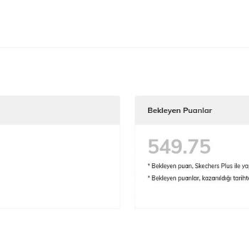 Bekleyen Puanların Aktifleşmemesi Sorunu
