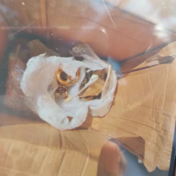 Kırılacak Eşya Taşımama Prosedürü Ve Kötü Müşteri Deneyimi