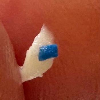 Tost Peynirinde Mavi Plastik Madde Şoku