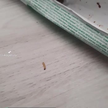 Kahve Dünyası Gofrik'ten Kurtçuk Çıktı!