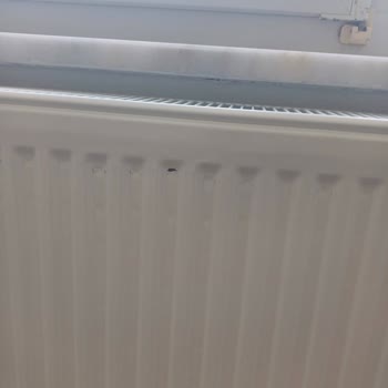 ECA Kombi Ve Peteklerde Garanti Sorunu