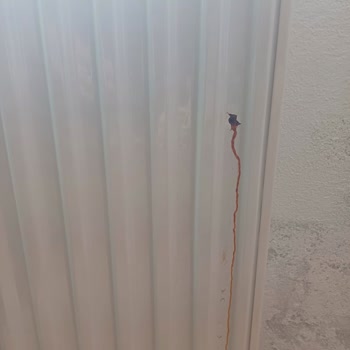 ECA Kombi Ve Peteklerde Garanti Sorunu