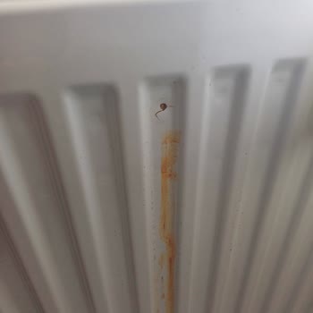 ECA Kombi Ve Peteklerde Garanti Sorunu