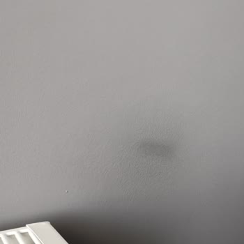 Silinebilir Boya Leke Bıraktı: Beklentiler Karşılanmadı