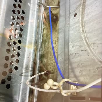 Kurulum Hatası Yüzünden Fırın Patladı