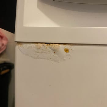 Çamaşır Makinesi Paslanma Sorunu