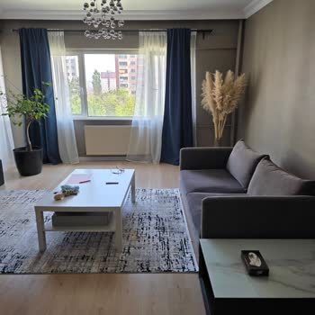 Kırışık Koltuklar Ve Yetersiz Müşteri Hizmeti