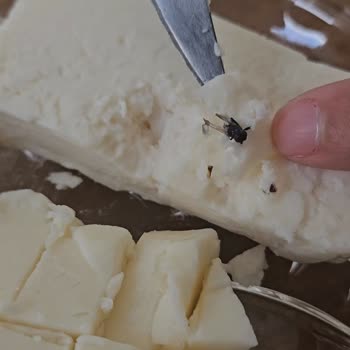 Siparişte Hijyen Skandalı: Ezine Peynirden Sinek Çıktı