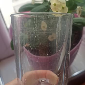 Asperox Bulaşık Makinesi Kapsülleri Bardaklarımı Mahvetti!