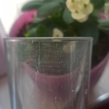 Asperox Bulaşık Makinesi Kapsülleri Bardaklarımı Mahvetti!