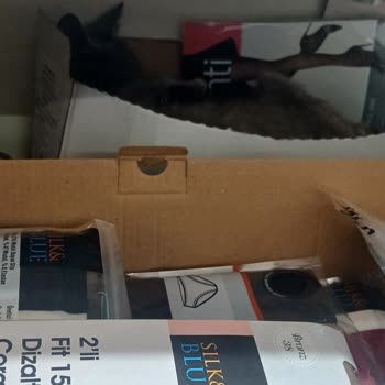 A101 Mağazasında Sokak Hayvanları Nedeniyle Hijyen Sorunu Yaşanıyor