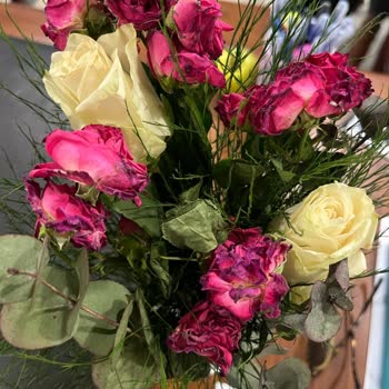 Siparişimde Solmuş Çiçek Gönderildi, Mağduriyetimin Giderilmesini İstiyorum